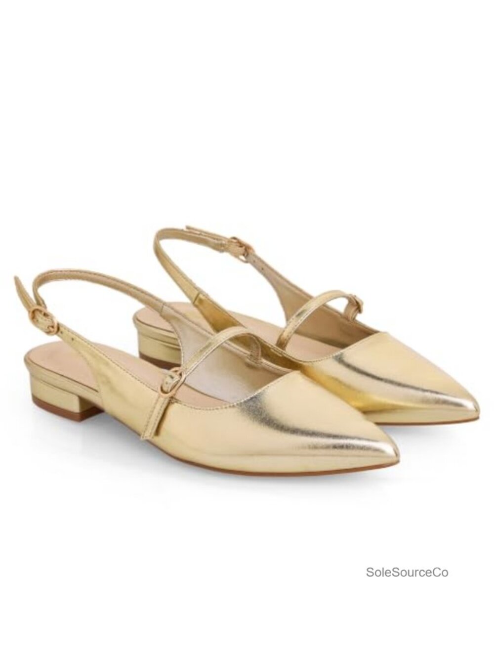 Women's Slingback Flats Pointed Toe Low Heel Adjustable Buckle Mary Jane